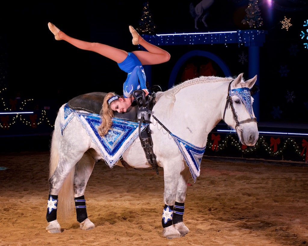   The Dancing Horses Theatre