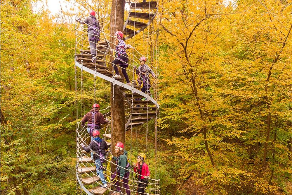 Ziplines & Adventure